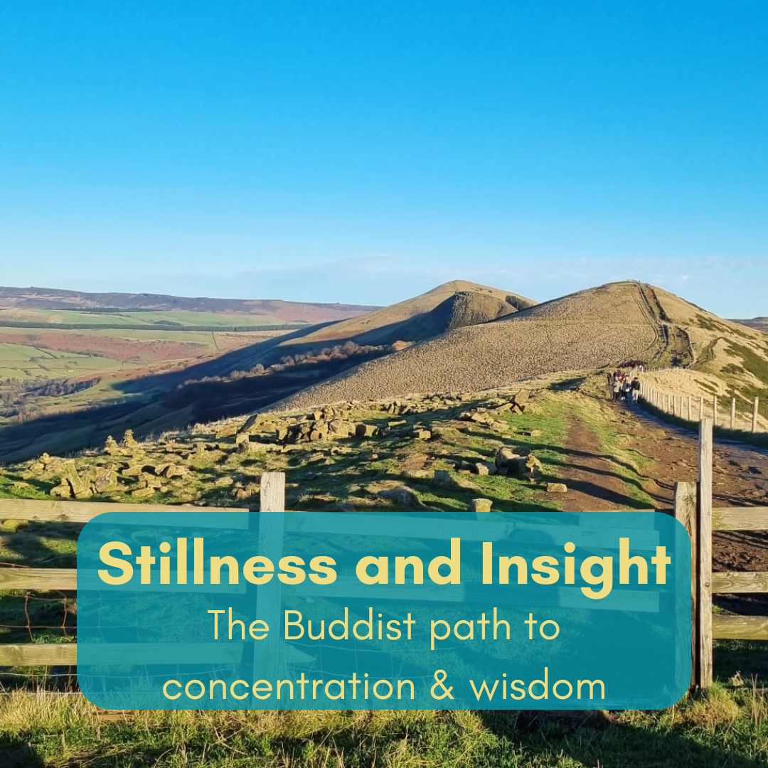 Stillness and Insight
