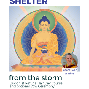 Shelter From the Storm