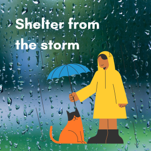 Shelter From the Storm