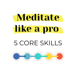 Meditate Like a Pro - 5  Core Skills